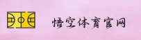 使用指南与常见问题